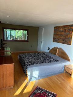 Spacious apartment in a quiet location, large terraces - 8