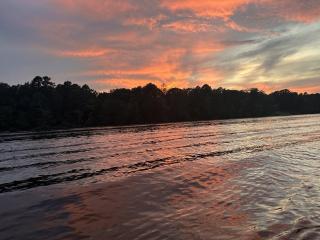 Clearwater Golden Escape on Lake Hamilton condo - 5