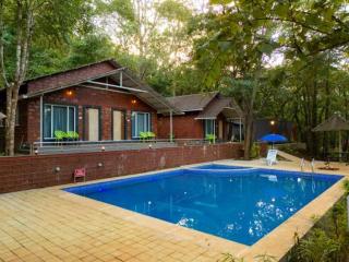 Rain Forest Jungle Stay - 3