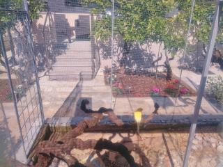 Apartment Stipe - 3