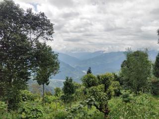 Alpine's Nest Homestay, Ramdhura - 2