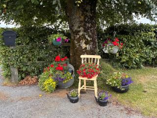 Fiona's Country Accommodation - 7