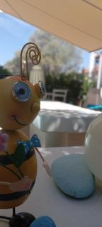 Marilena - 8
