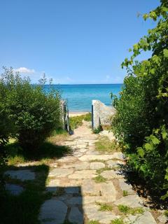 Katerina Beach House by RentalsPro - Fourka Halkidiki - 0
