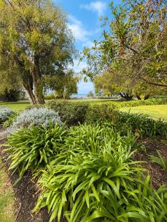 Whalers Cove Villas - Dunsborough - 6