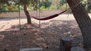 Casa Vacanza Immersa nel verde della campagna Salentina - 6