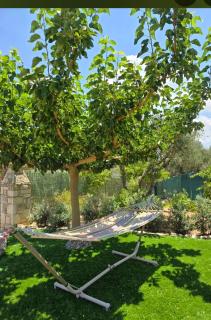 Casa Adam and spa - 9