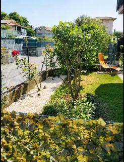 House of Camellias - Ground Floor with Garden - 7