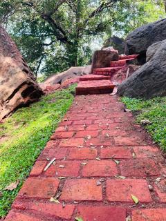 Dambulla Tiger Rock Hotel - 2