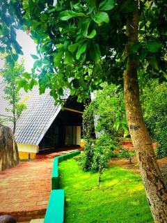 Dambulla Tiger Rock Hotel with Mountain Viewpoint - 4