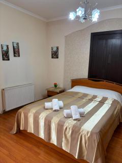 Sofia Cozy Apartment in Chugureti - Tbilisi - 4