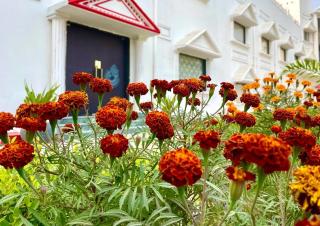 Shakti Resort Behror A-Unit Of MLS RESORTS Pvt Ltd - 6