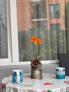 Sofia Cozy Apartment in Chugureti - Tbilisi - 7