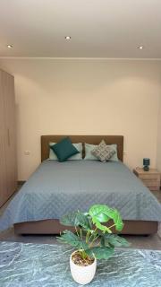 RaJan Home Blue - 7