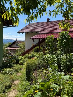 Green Hills studio apartment - 7