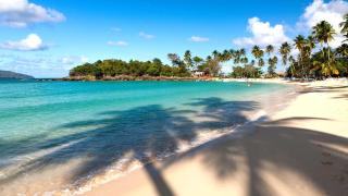 la Palmera - 4