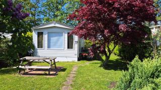 Chalet 532 op Recreatiepark De Wielen - 0