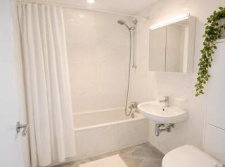 Bright studio with green view in Fribourg - 2
