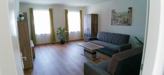 Fridolins Family Apartment - Ferienwohnung im Südburgenland - 1