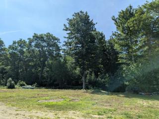 Nezinscot Pines - 1