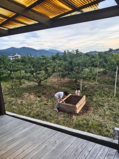 柿畑の宿 Private stay with farm and house all to yourself - 8