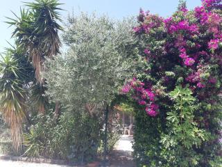 Villa climatisée tt confort avec gd jardin arboré près d'Argelès sur Mer - 9