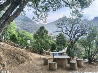 Casa Flores - 5