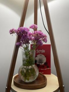 Guesthouse - ,,Tsalka" - 2