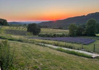 La Vielle Ferme - Domaine privé de 80 hectares - Climatisation - 6