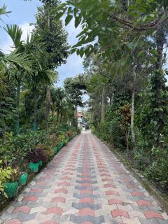 Ibbani Homestay - 9