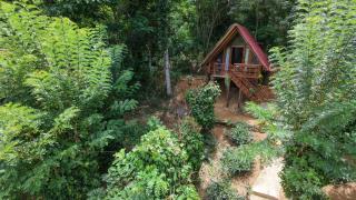 Glenora Wood Cabin - Ella - 1