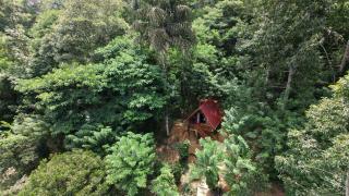 Glenora Wood Cabin - 9