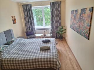 Spacious & sunny apartment with a balcony - 3