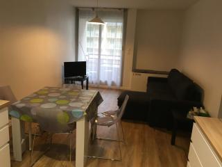 Appartement plein centre 40m2 2 balcons - 4