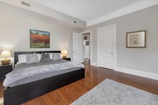 Spacious and Sunlit 2 Bedroom Near Eden Park - 4