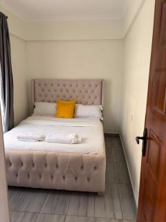 Dolphin premier apartment,Ruaka - 2
