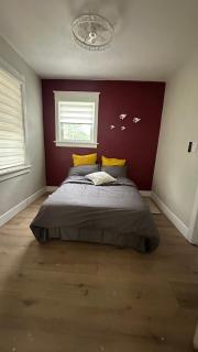 Newly Renovated Home - 4