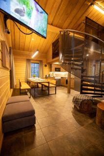 Tunturipöllö 3 - 9