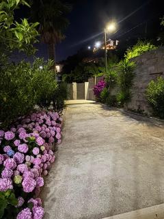 Sunny House - 8