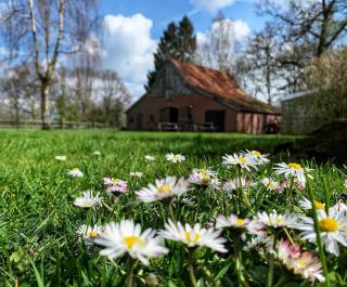 Hotel de Landmarke Ootmarsum - 4