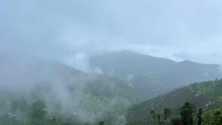 The Vihangam Boho - 4