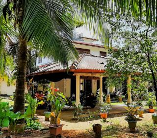The Green Heritance - 7