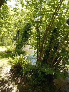 Le Charme au Fil de l'eau - 5