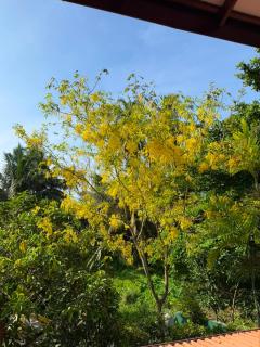 Sethun House - 9