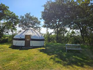 Yurt Sleeps 2 - Bbq & Fire Pit - Dogs Welcome - 3