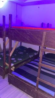 Cozy Shared Apartment for Ladies - 1