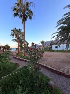 Palm Valley camp - 5