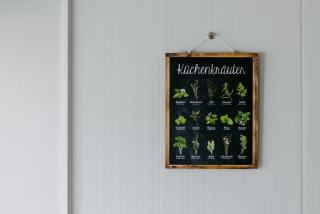 Tinyhouse mit Alpakas Ruhe &Natur-Waldminze Südburgenland Frühstück zubuchbar - 3