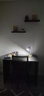 Private Modern 1BR Guesthouse- Greens, East Regina - 4