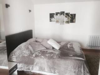 La maison spacieuse et confortable - 1